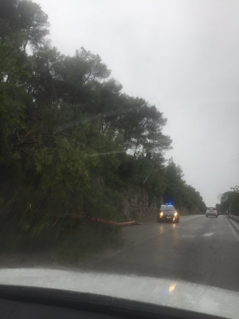 Cisternino albero caduto nella Gravina 