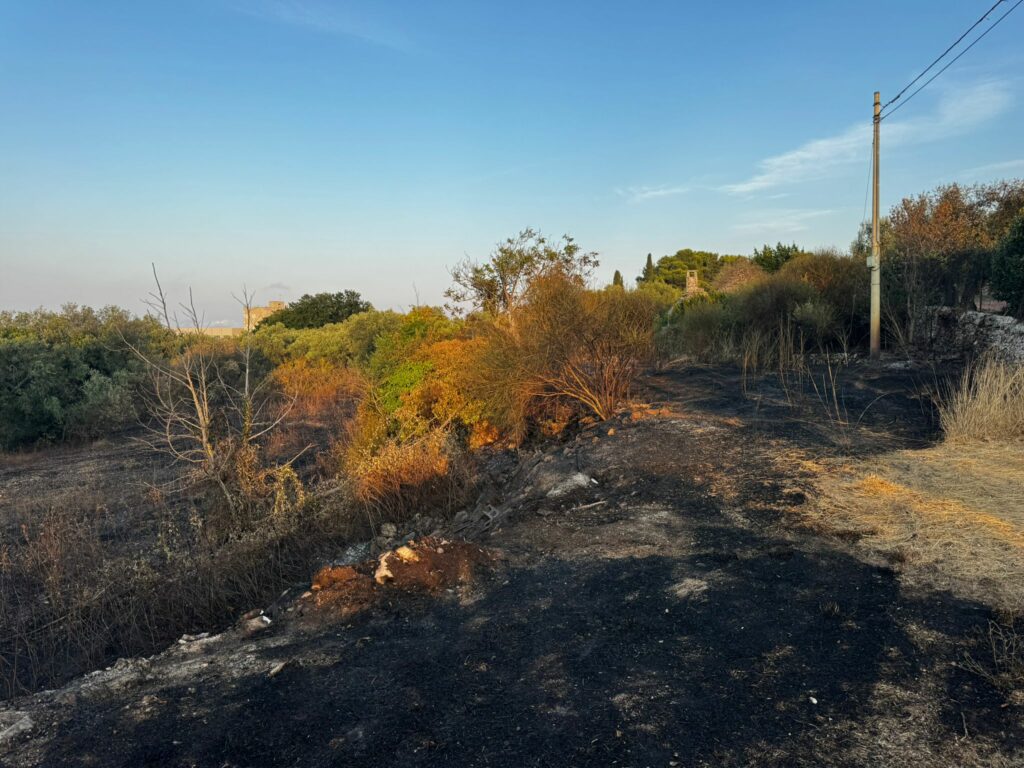 Incendio alla periferia di Cisternino