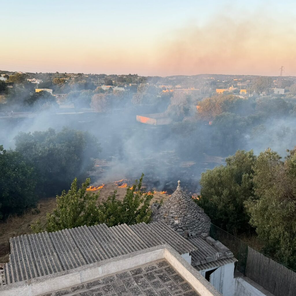 Incendio di sterpaglie a Cisternino